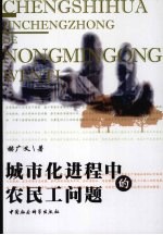 城市化进程中的农民工问题