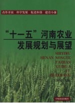 “十一五”河南农业发展规划与展望