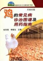 鸡常见病诊治图谱及用药指南