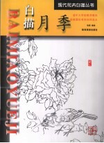 白描月季