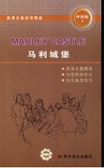 马利城保 中级版 1