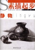 素描起步 静物