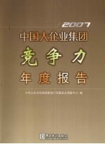 中国大企业集团竞争力年度报告 2007年