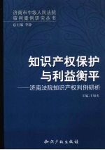知识产权保护与利益衡平:济南法院知识产权判例研析