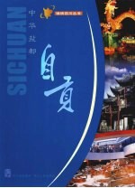 中华盐都:自贡