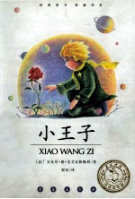 小王子 阅读指导版