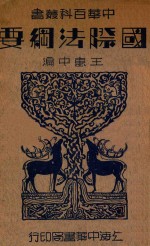 国际法纲要