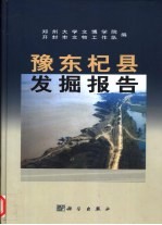 豫东杞县发掘报告