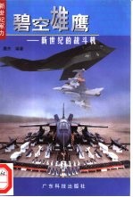 碧空雄鹰:新世纪的战斗机