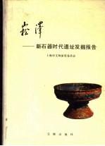 崧泽 新石器时代遗址发掘报告