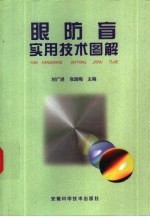 眼防盲实用技术图解
