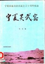宁夏灵武窑