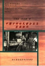 中国乡村的民营企业与家族经济 浙江省苍南县项东村调查
