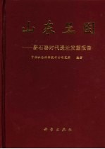 山东王因 新石器时代遗址发掘报告