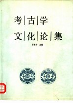 考古学文化论集 4