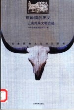 可触摸的历史 云南民族文物古迹
