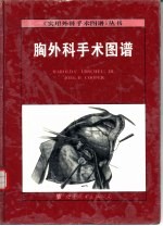 胸外科手术图谱