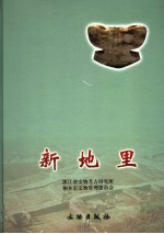 新地里 上