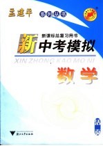 新中考模拟 数学 活页