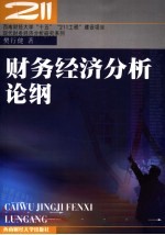 财务经济分析论纲