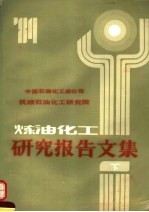 炼油化工研究报告文集 下