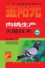 肉鸽生产关键技术