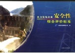 水力发电企业安全性综合评价标准