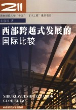 西部跨越式发展的国际比较