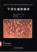 下消化道肿瘤学 临床肿瘤学图解