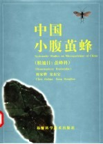 中国小腹茧蜂 膜翅目：茧蜂科