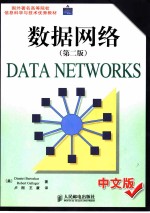 数据网络 中文版