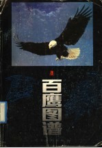 百鹰图谱