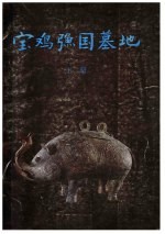 宝鸡(弓鱼)国墓地 下