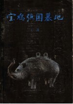 宝鸡(弓鱼)国墓地 上