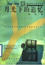 月光下的追忆