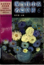 现当代小说名篇赏析 6 欧美