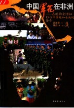中国军花在非洲 在刚果(金)首批13位中国维和女兵的传奇