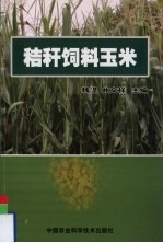 秸秆饲料玉米