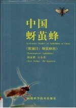 中国蚜茧蜂 膜翅目 蚜茧蜂科