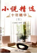小说精选十年精华 冬
