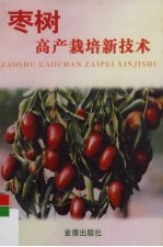 枣树高产栽培新技术