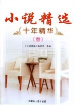 小说精选十年精华 春