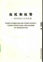 权杖和权势:组织的权力运作机制