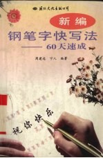 新编钢笔字快写法 60天速成