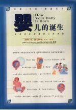 婴儿的诞生 如何准备迎接婴儿的来临