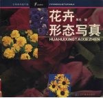 花卉形态写真