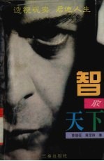 智取天下 《三国演义》之魂