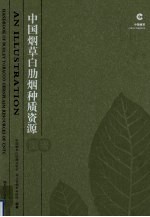 中国烟草白肋烟种质资源图谱