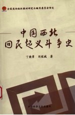 中国西北回民起义斗争史