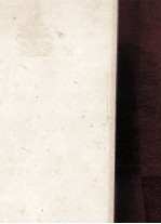 現代日本小説大系 25